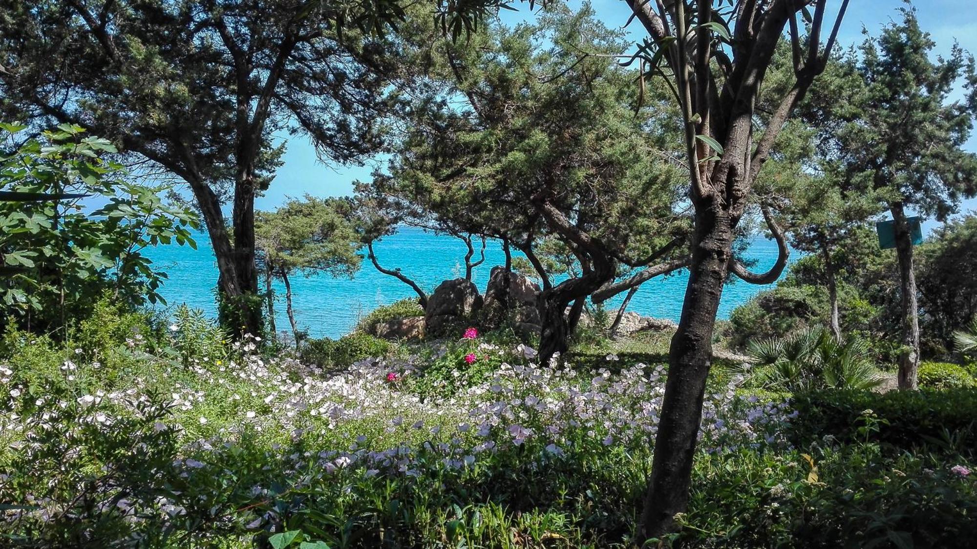 B&B Giglio Di Mare Cala Liberotto Kültér fotó